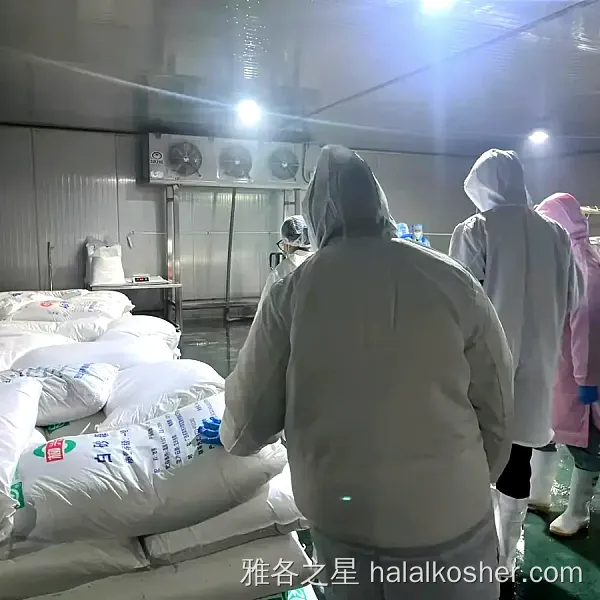 雅各之星 验厂合照