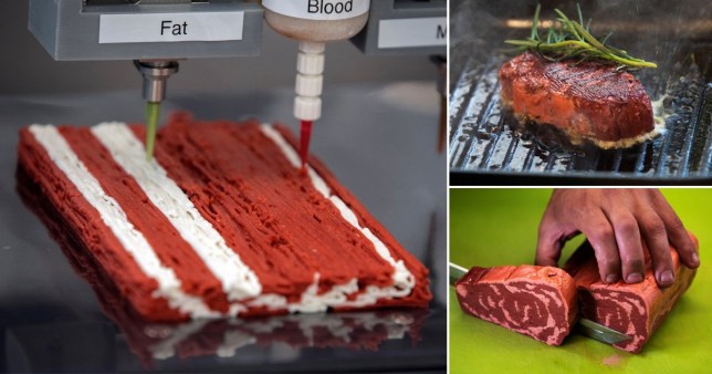 全球首个3D打印Vegan素食牛排在以色列问世