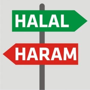 来自食品和非食品行业中猪的Haram成分