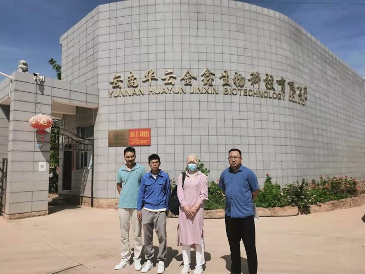 Shendatong Subsidiary Huayun Jinxin: Cannabis Flower Leaf Extract Obtains HALAL and KOSHER Certification