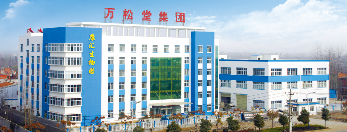 湖北万松堂大健康