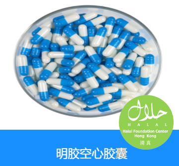 湖北人福(药用辅料)