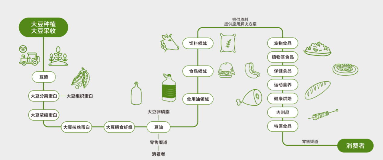 山东禹王+九三集团等(大豆系列)