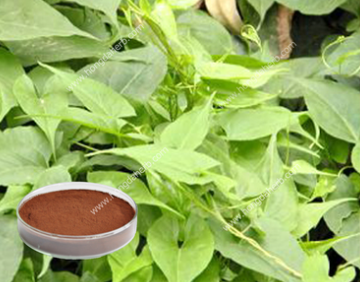 陕西宏达植物化工