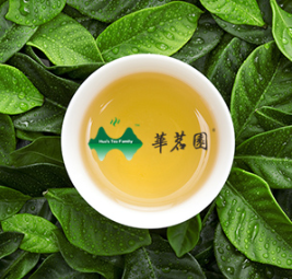 浙江华茗园茶业