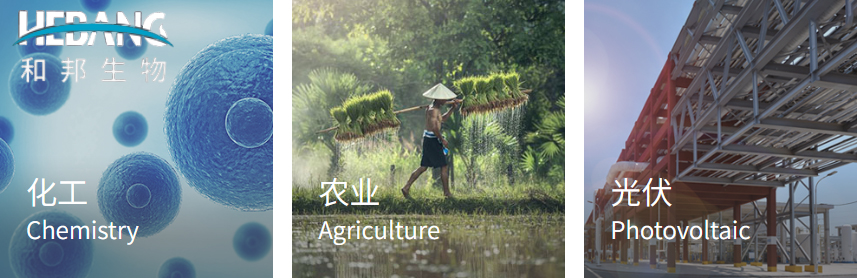 四川和邦生物(603077)