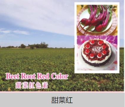 江西丹霞生物科技