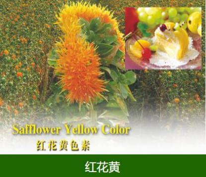 江西丹霞生物科技