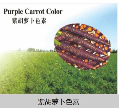 江西丹霞生物科技