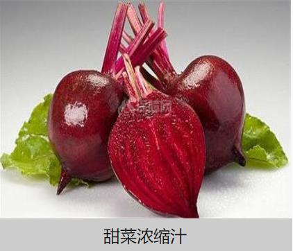 江西丹霞生物科技