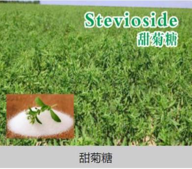 江西丹霞生物科技
