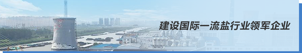 江苏苏盐井神(601077)