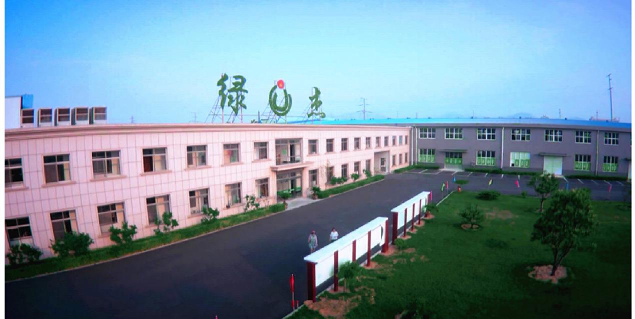 中盐东兴盐化+绿杰股份