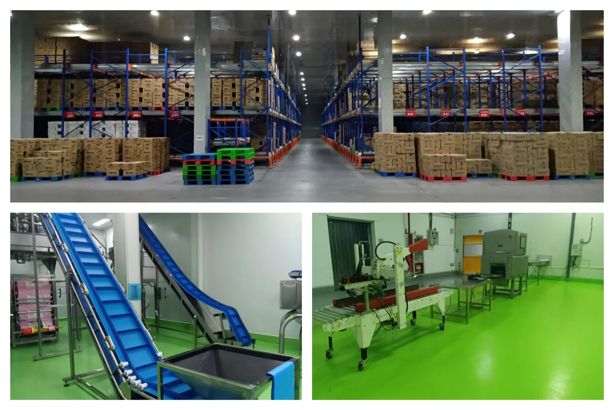 妙飞工厂的成品仓储区与奶酪生产、包装产线——清真物料专属仓储分区与关键控制点即嵌入在这条链路上