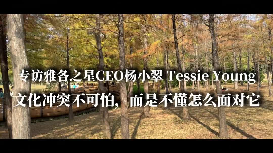 杨总访谈:认证是对他国文化的尊重(上)