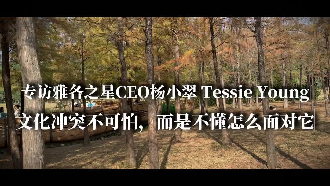 杨总访谈:认证是对他国文化的尊重(下)